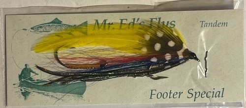 Footer special tandem - footer,