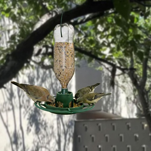 Mangiatoia per uccelli