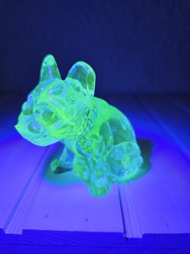 Statuina bulldog vetro - bulldog,