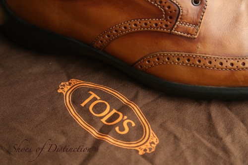 Scarpe ginnastica tod in - scarpe, tod's