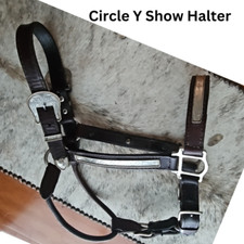 Circle Y Silver Show Halter
