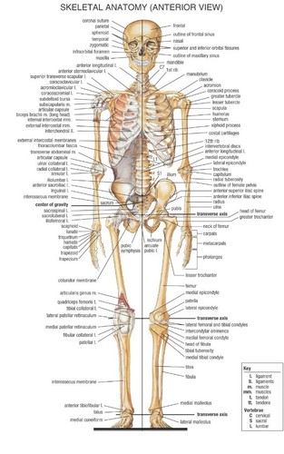 Poster educativo arte - , da