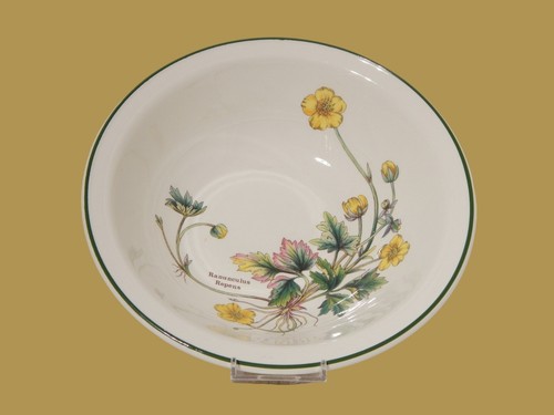 Ceramica enoch wedgwood - ceramica,