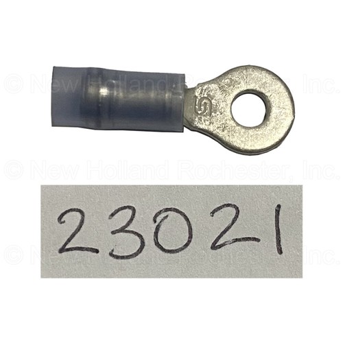 Parte terminale anello - parte,