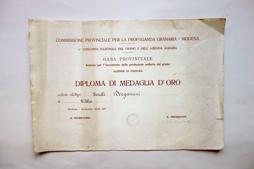 Diploma commissione propaganda - diploma,
