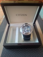 Titanium Citizen Promaster
