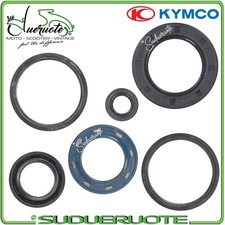 Kit Revisione Motore Paraolio