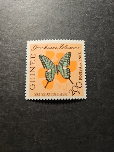 Timbro guinea fauna farfalle - guinea,
