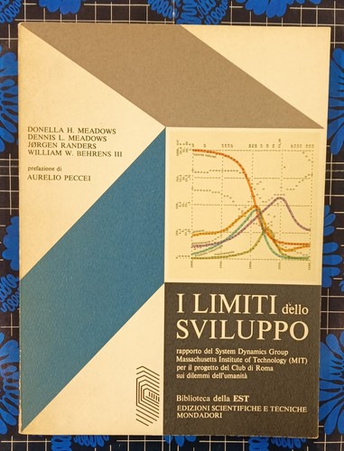 Limiti dello sviluppo - i,