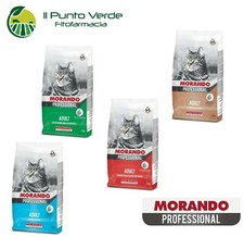 Morando MIGLIOR GATTO