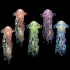 Confezione Da 5 Luci a Forma