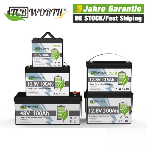 Batteria lifepo4 12v 24v 36v - lifepo4,