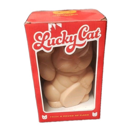 Chilo carne gatto - un,