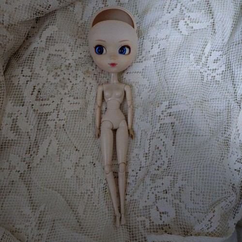 Bambola pullip con parrucca - bambola,