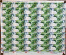Test Banknote Butterfly -