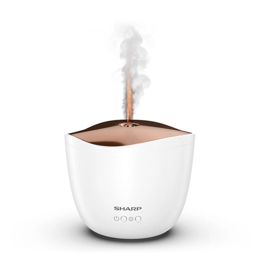 Sharp a1e w diffusore - df-a1, df-a1e-w