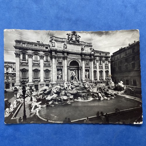 Roma fontana trevi - roma,