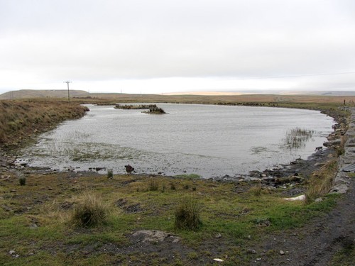 Photo fochriw feeder pond - a3,