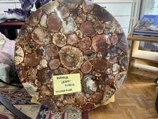 Pianale in Legno Fossile dal Madagascar Prodotto Raro e di Alta Qualità.