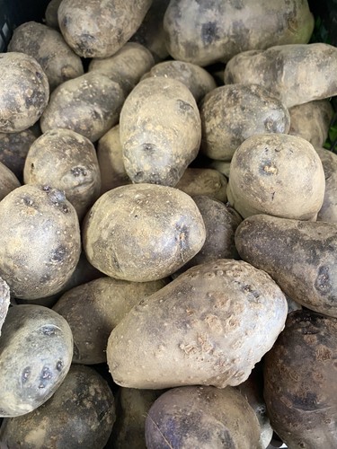 Patate viola per - patate,