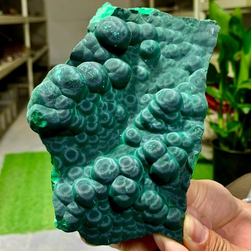 482g malachite lucida - lucida, naturale