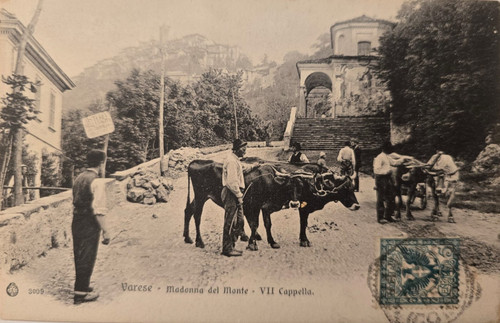 Cartolina 1904 varese - ,