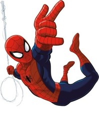 17 STYLES Amazing Spider-man