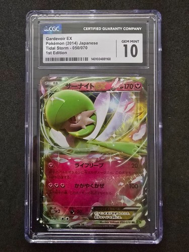 2014 pokemon tempesta - pokemon,