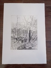 Litografia firmata numerata - numerata, di