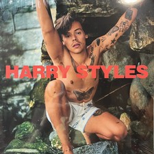 Harry styles castaway double - styles,