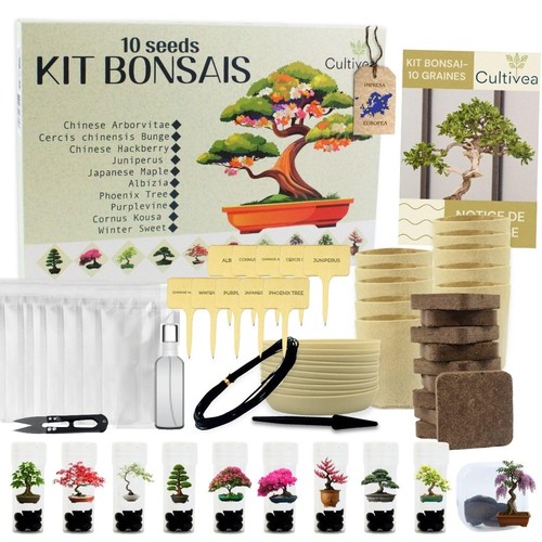 Kit bonsai alberi - kit, 10