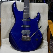 Biglietto tour MUSIC MAN Luke