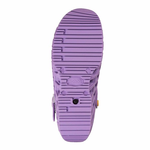 Scholl clog evo - clog,