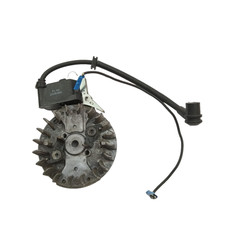 VOLANO E BOBINA avviamento per motosega MCCULLOCH CS 35 VARIOLUX V-UCS 45 usato