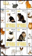 Gatti Animali a pelo corto persiano himalayano scozzese pieghevoli animali m/s MNH