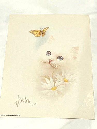 1984 bob harrison - bob, spring