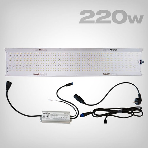 Hortione 600 led lampada - 600,