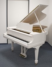 Steinway & Sons, ala modello