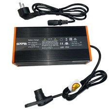 SANS SSLC300V29 carica