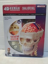Teschio nervo cranico anatomia