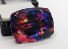 Cuscino Ammolite Biologica