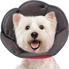 Collare Elisabettiano per Cane