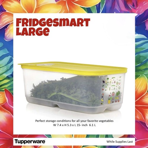 Tupperware fridgesmart grande - tupperware,
