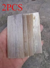 2 pezzi fiore naturale giallo