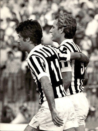 Foto originale agenzia - foto, d'agenzia