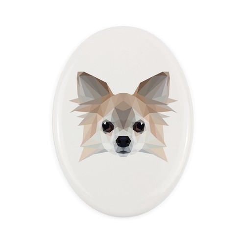 Chihuahua pelo lungo - chihuahua, a