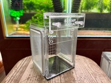 Scatola allevatore gamberetti