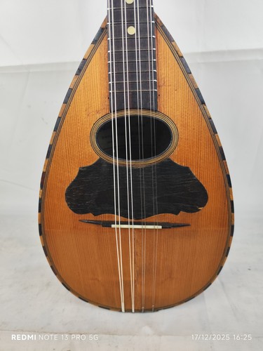 Very rare mandolino - rare,