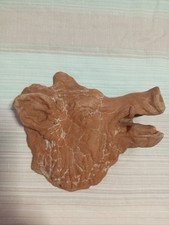 Scultura Testa di Cinghiale in Argilla