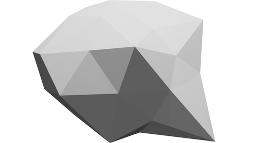 Riccio low poly geometrico - low,